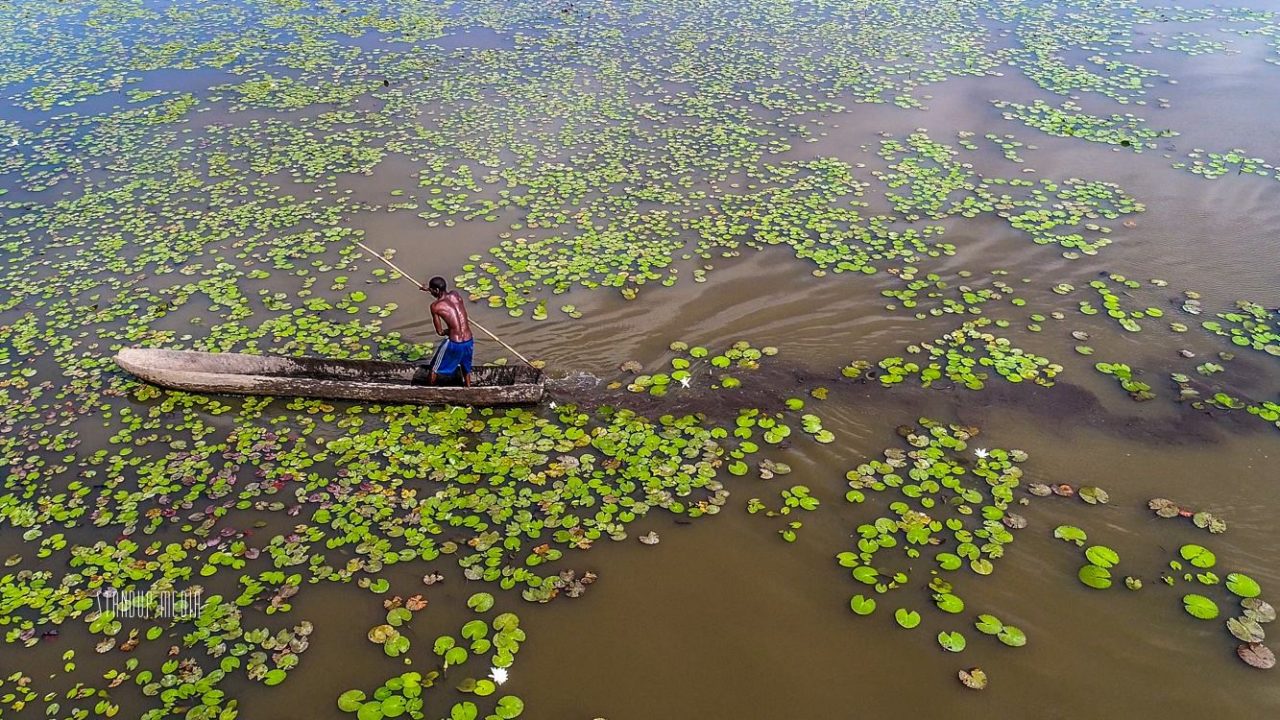 Cufada Lagoons Natural Park - Hello Bissau